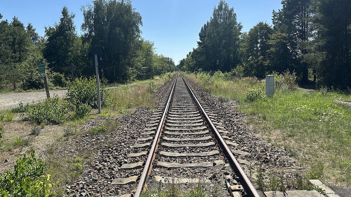 Leiche von 13-jährigem Camper soll untersucht werden