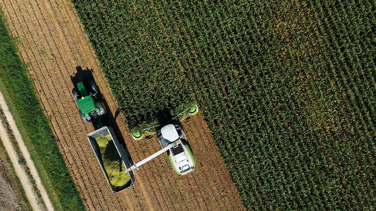 Öko-Fläche in Bayern bei nicht einmal 13 Prozent