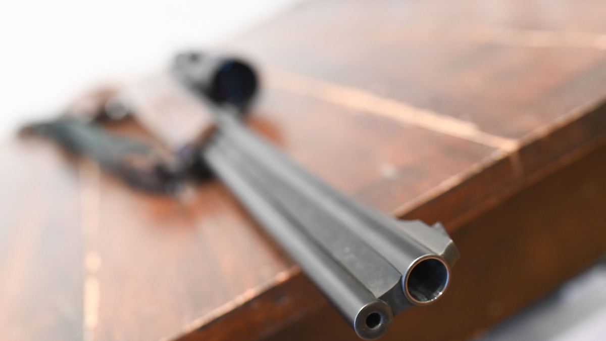 Mehr Schusswaffen in Sachsen-Anhalt registriert