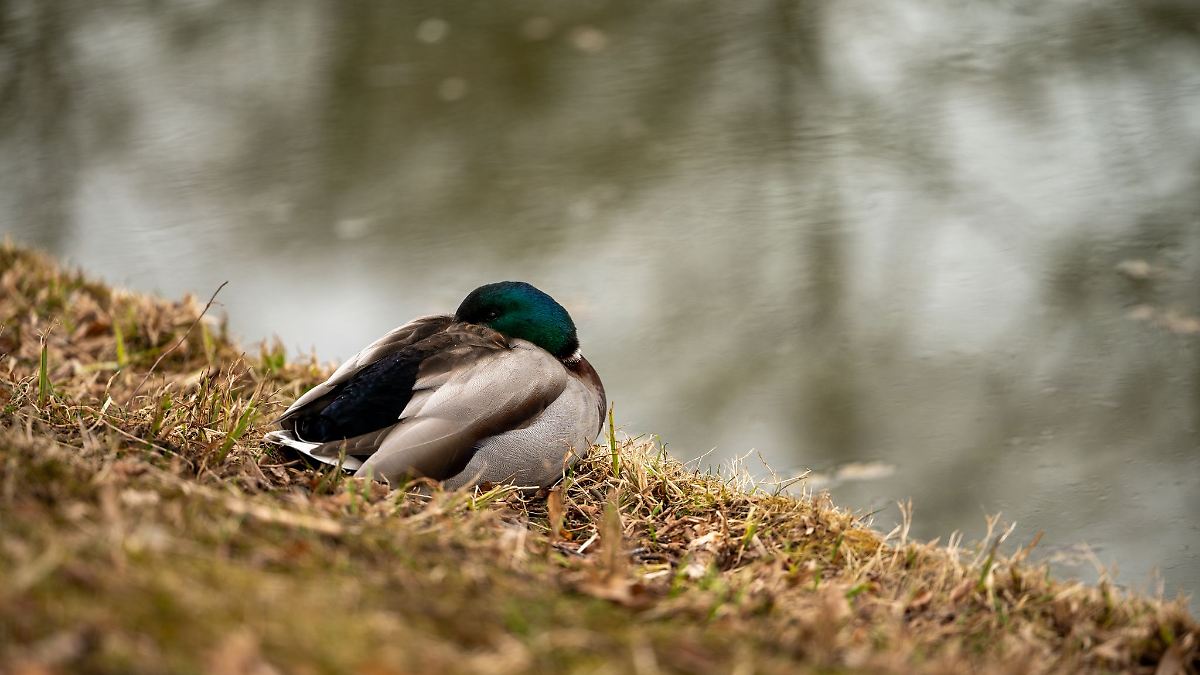 Gewitter in Teilen von Hessen - die Temperaturen sinken