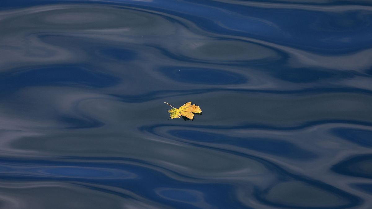 Auf die Hitze folgen Gewitter und Schauer