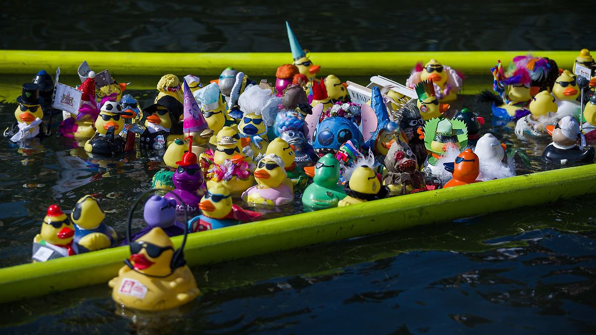 Für den guten Zweck: Gummienten-Rennen auf dem Maschsee