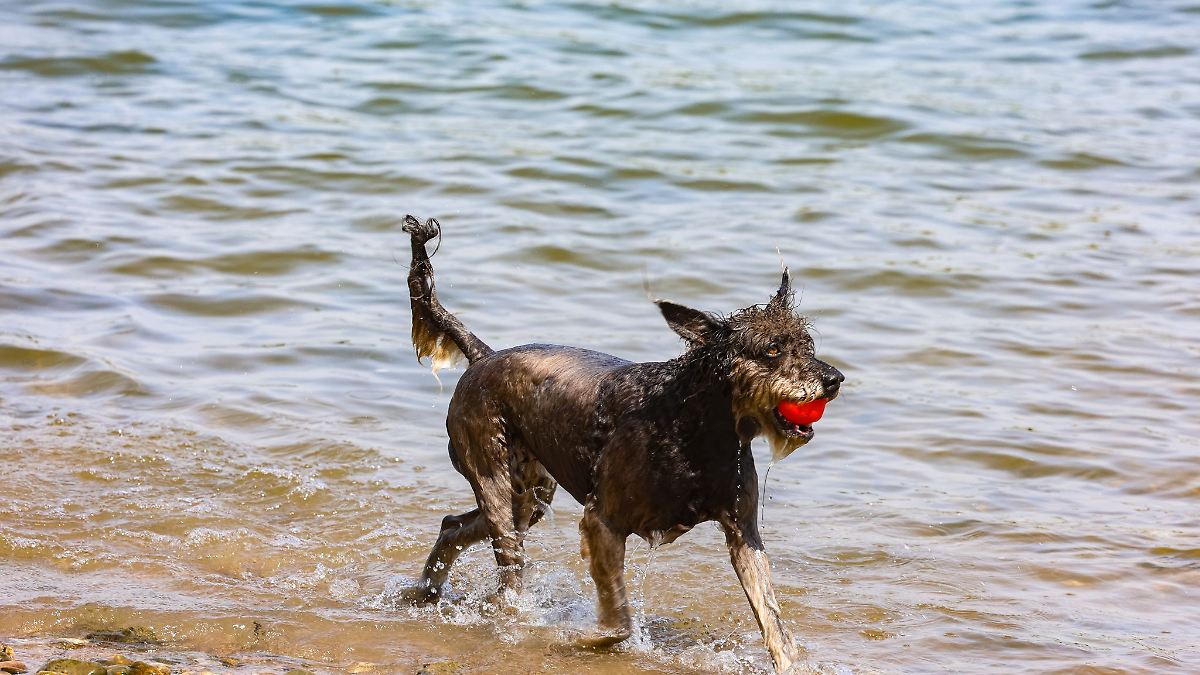 Sonne und zeitweise mehr als 30 Grad zu Beginn der Woche