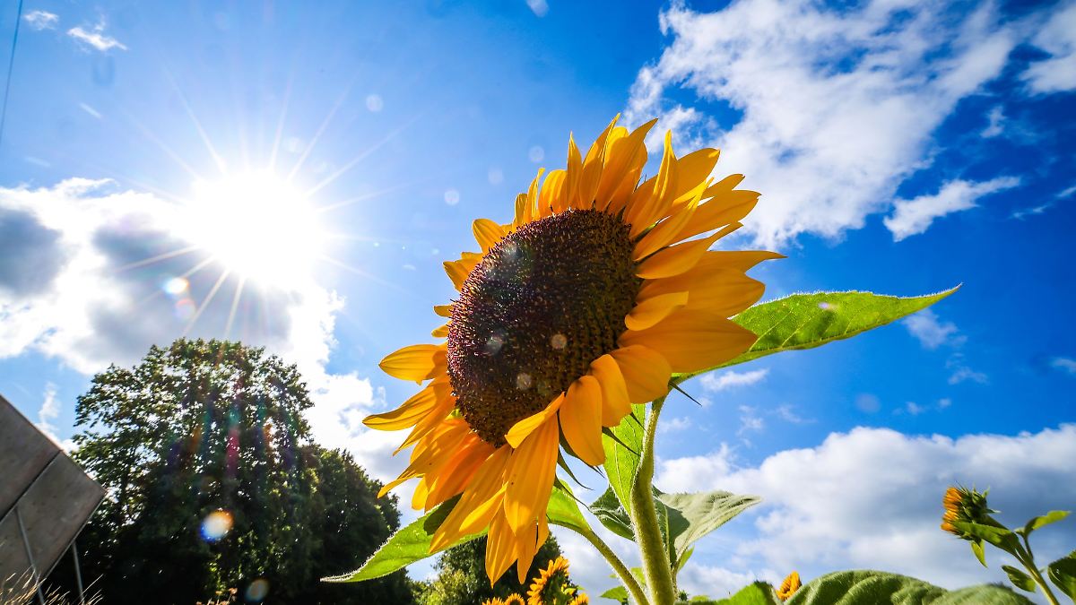 Sonne und Wolken wechseln sich über NRW ab