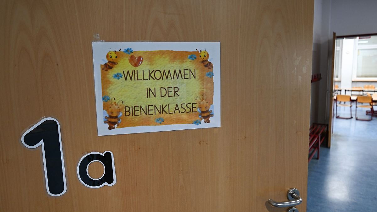 Schuljahr startet mit Handyverbot und weiteren Neuerungen