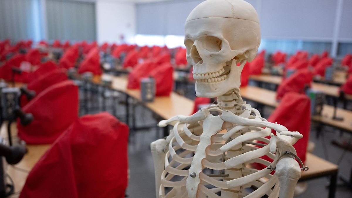 Sachsen-Anhalt steht bei Medizinstudienplätzen gut da