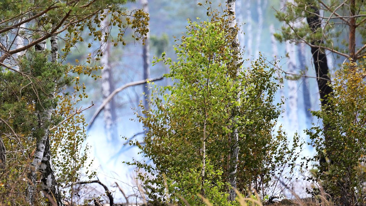 Löscharbeiten bei Waldbrand bei Bernau dauern an