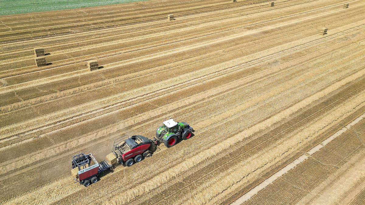 Besonders viel landwirtschaftliche Fläche in Sachsen-Anhalt