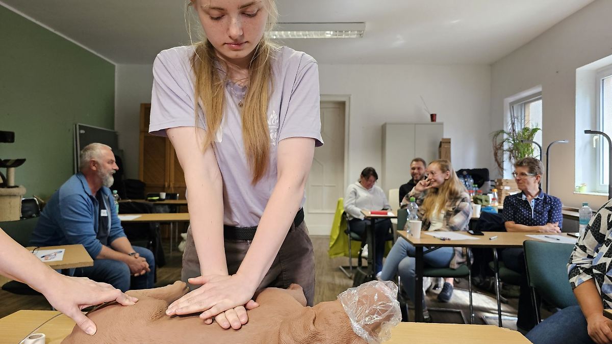 Hund in Not - und jetzt?