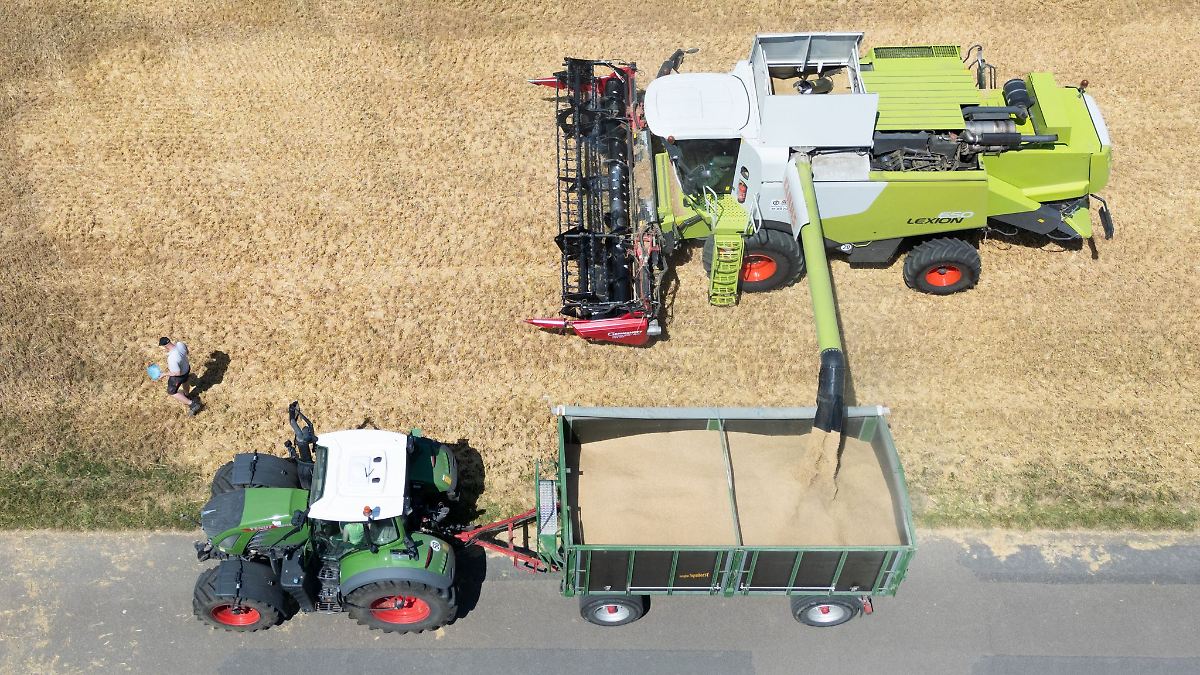 Erntebilanz für NRW: Mengen topp, Preise zu niedrig