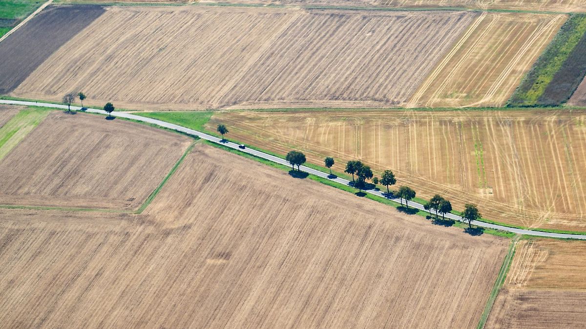 Sommer unter den zehn wärmsten in Hessen