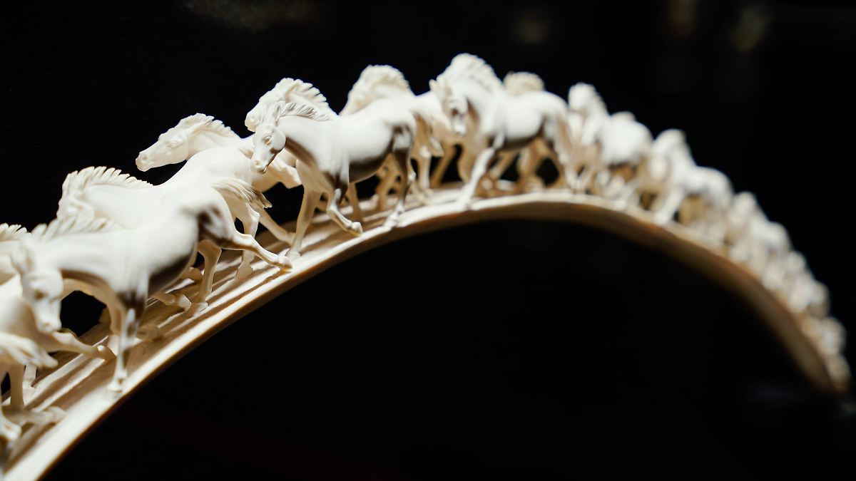 Erbacher Schloss mit historischen Räumen geschlossen