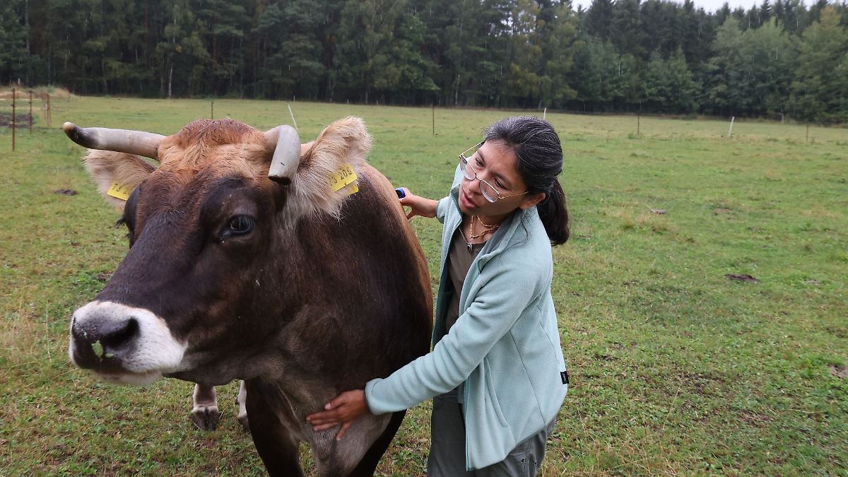 Alternative zum Tod: Gnadenhöfe in Thüringen