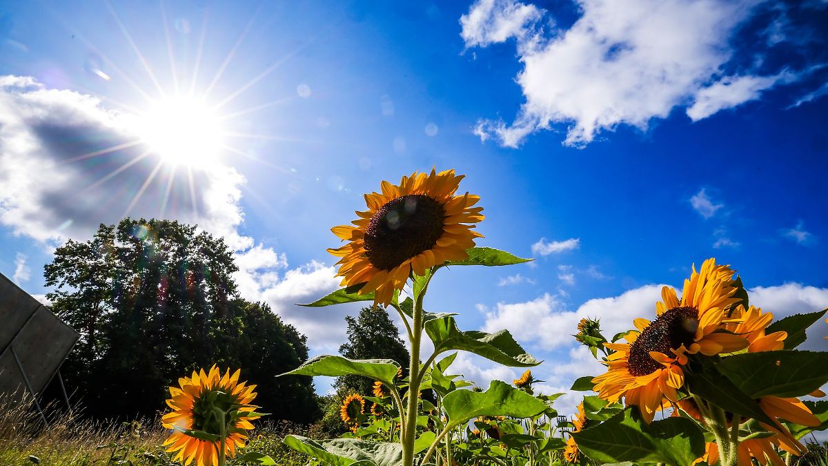 Nordrhein-Westfalen: Erst Regen - dann Sonne zum Ende der Woche - n-tv.de
