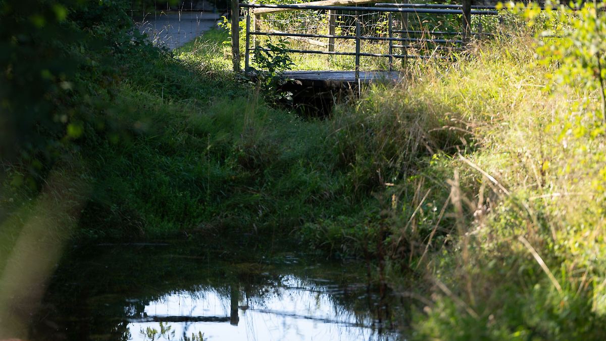 Kofferleiche - stammte Opfer aus dem Obdachlosenmilieu?