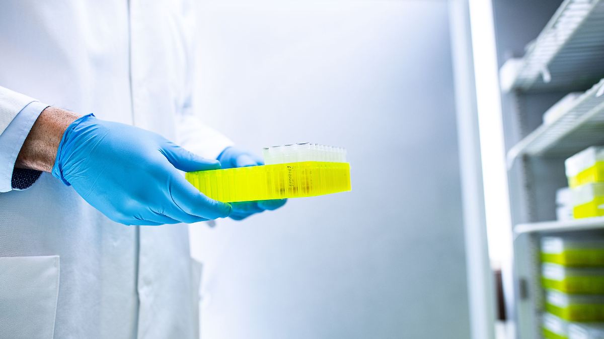 Sechs Kinder aus Berlin von Ehec-Ausbruch betroffen