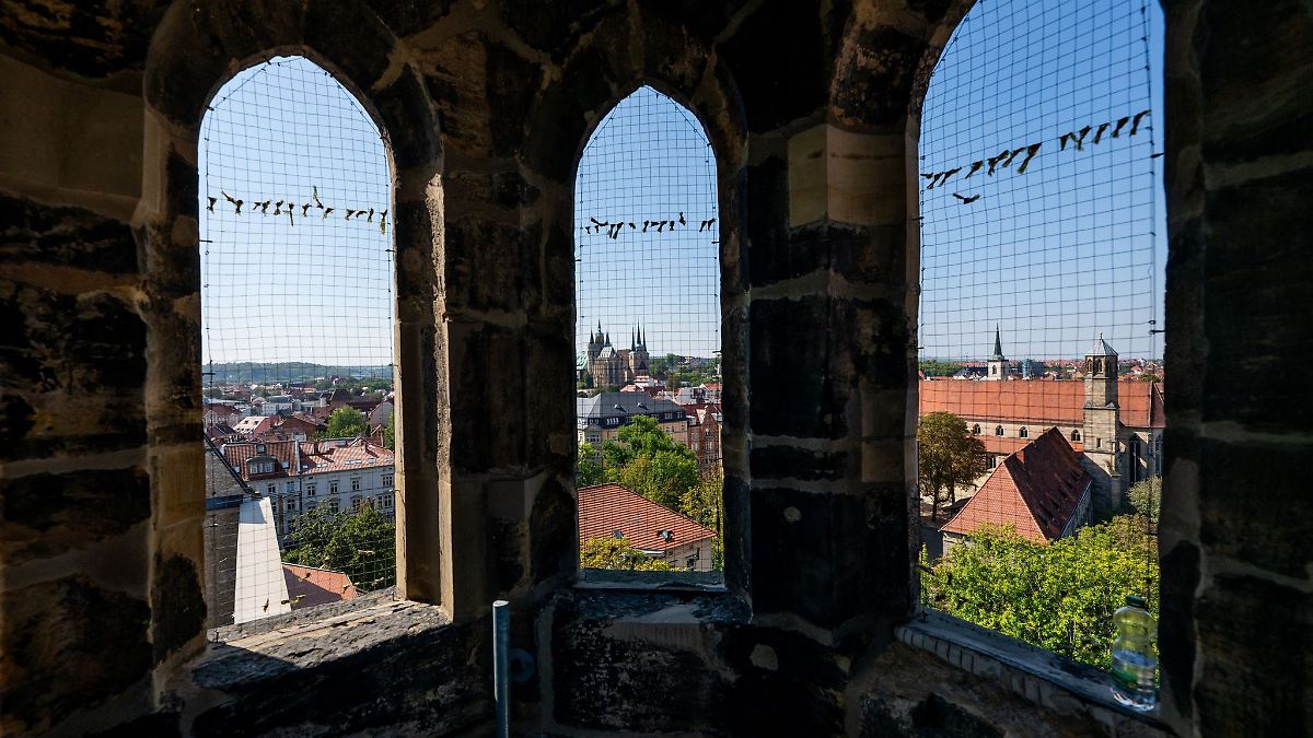 Türme erklimmen und über Erfurts Altstadt blicken