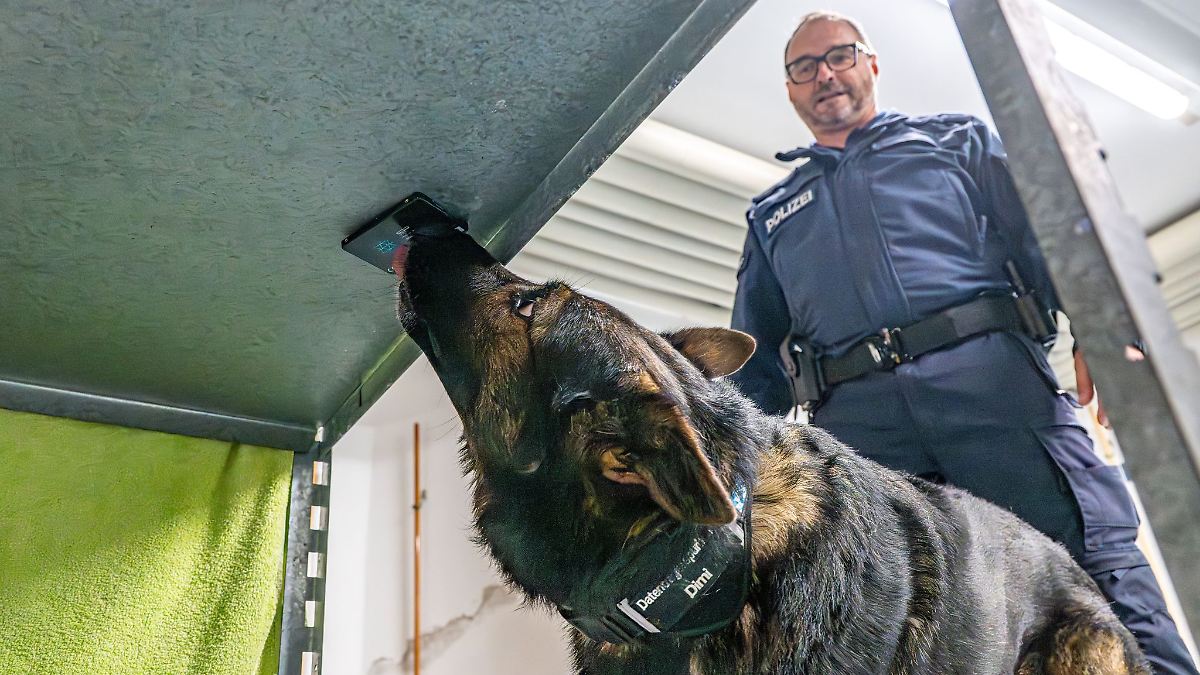Feine Nase: Polizeihund Dimi erschnüffelt Datenträger