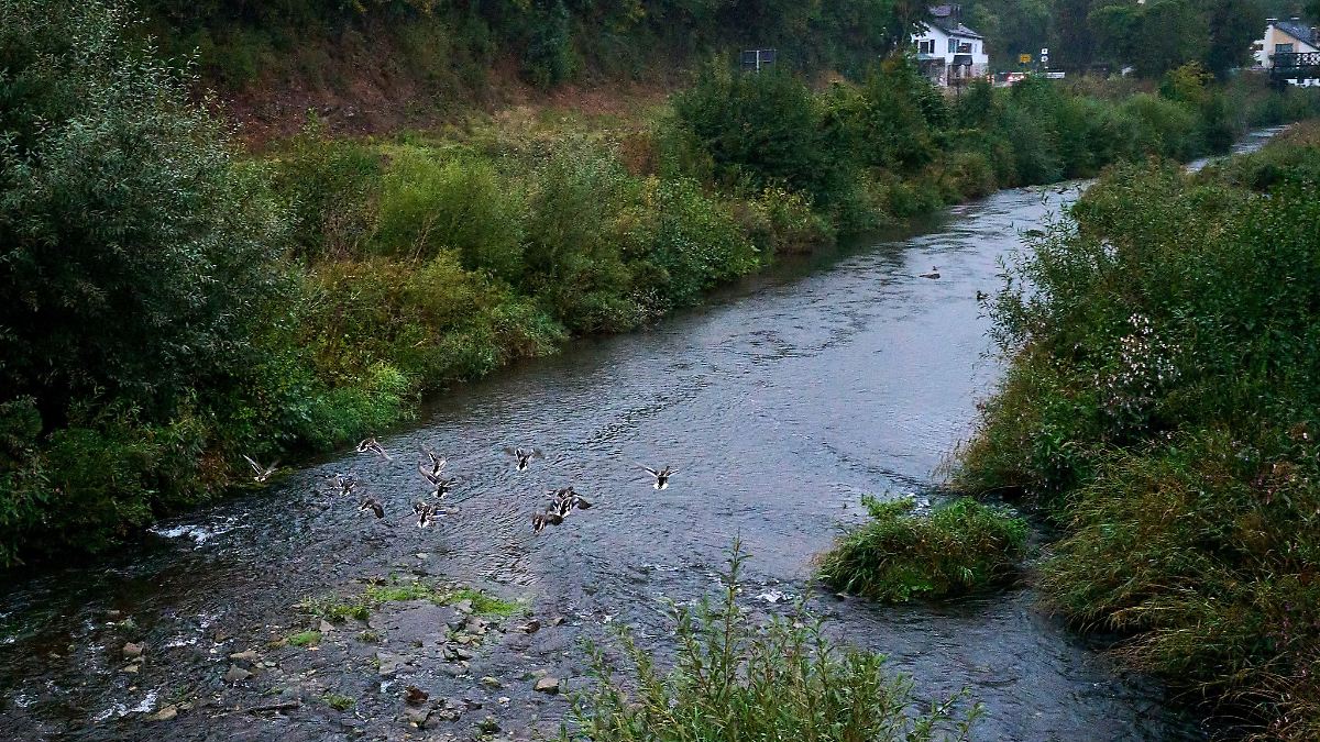 Regen für Landwirte (fast) kein Problem