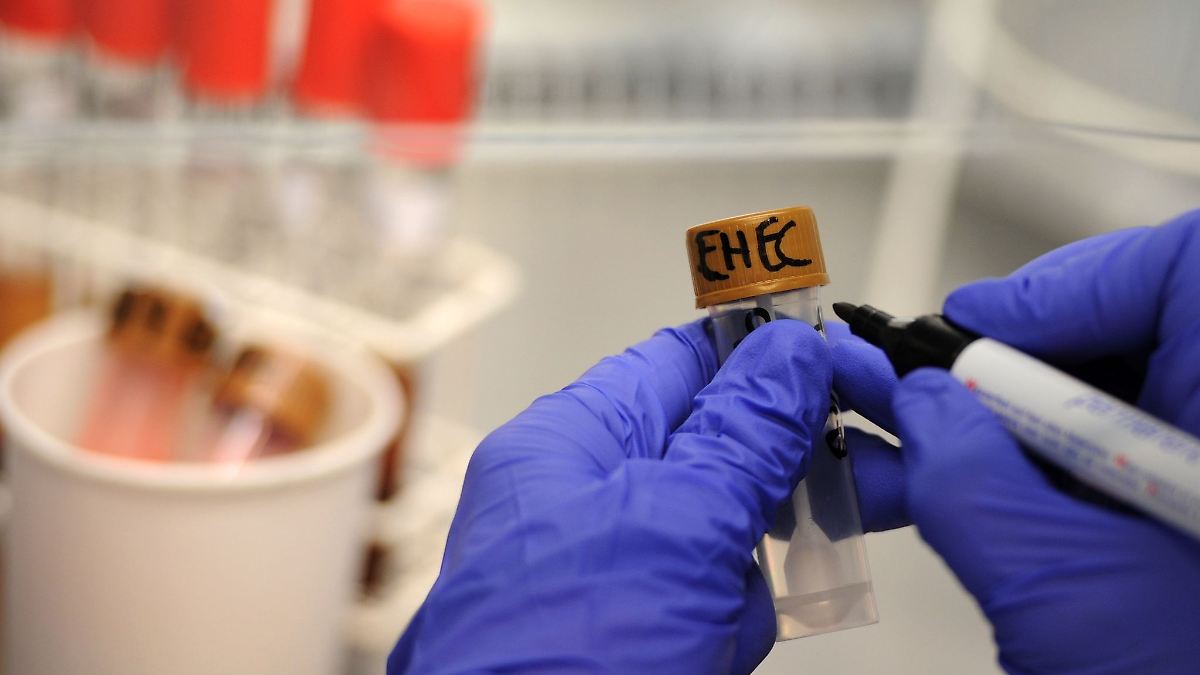 Erneut zweistelliger Zuwachs bei Ehec-Neuinfektion in MV