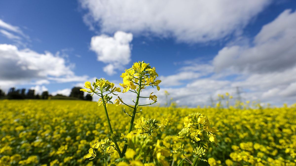 Spätsommer im Südwesten - bis zu 31 Grad erwartet