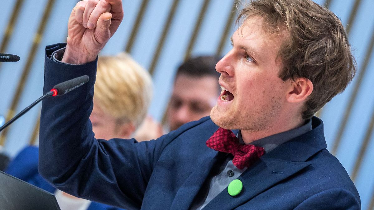 Trotz Abwahlantrag - Damm soll in Grünen-Fraktion bleiben