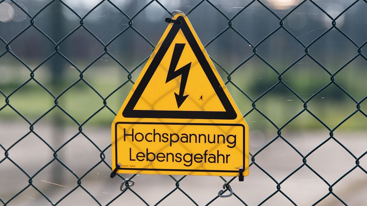 Marder soll Stromausfall in Eltville verursacht haben