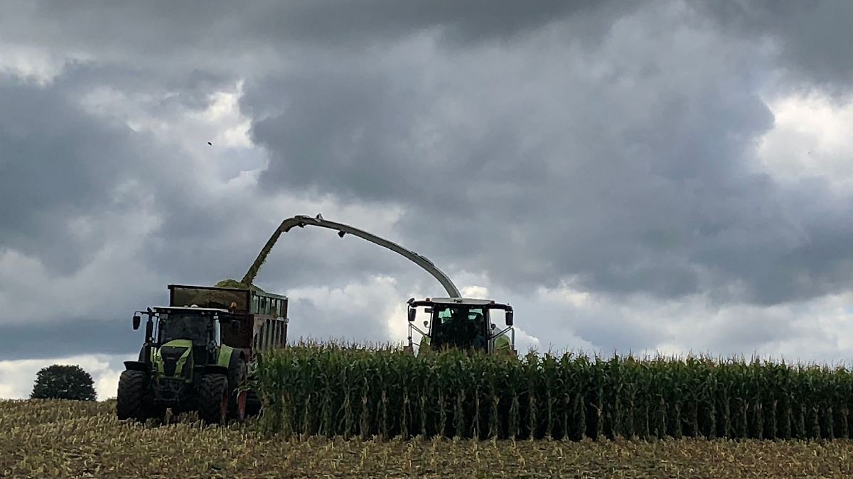 Mann fasst in Maishäcksler und wird mittelschwer verletzt