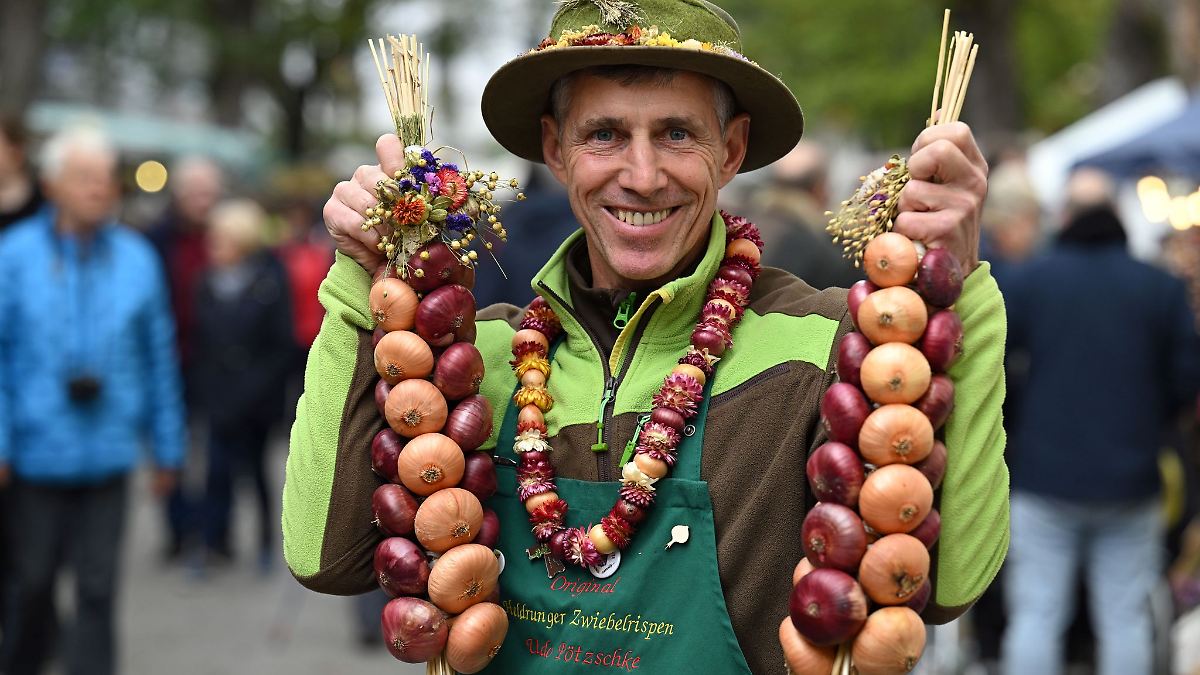 Heldrunger Zwiebelbauern mit Ernte zufrieden