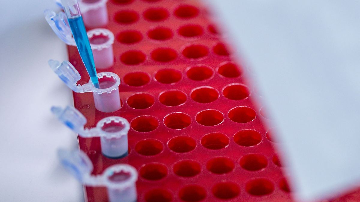 Lebensmittelkontrollen: 917 Thüringer Betriebe mit Mängeln