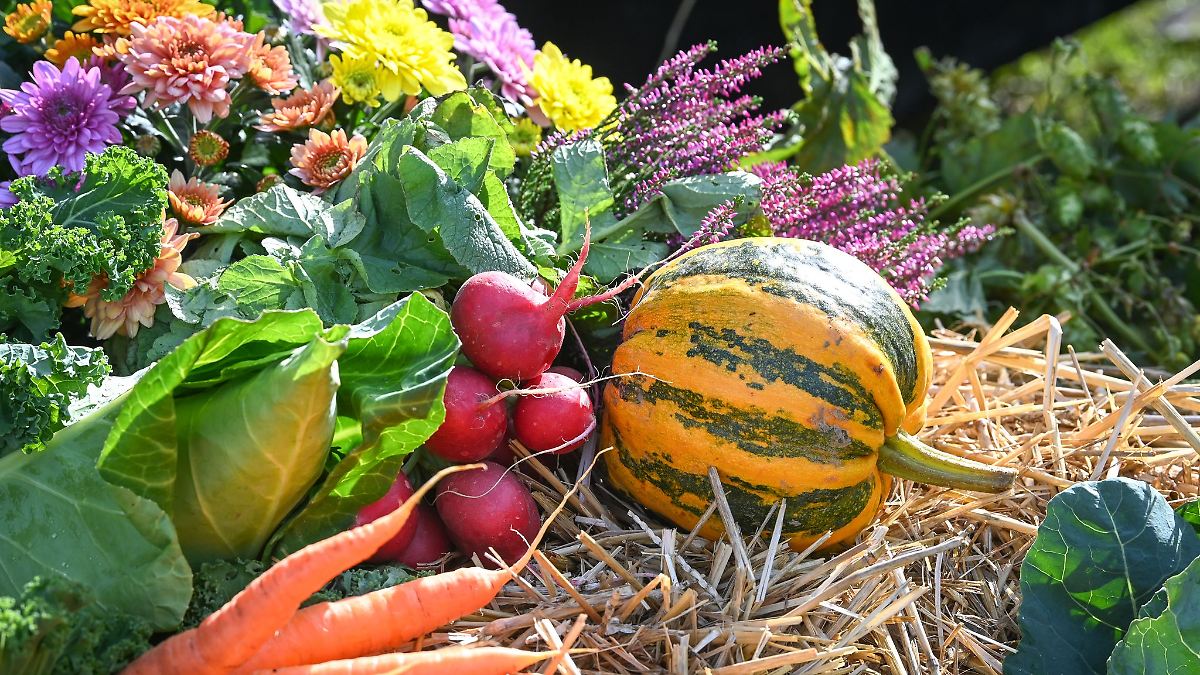 Erntedankfest mit guten Erträgen