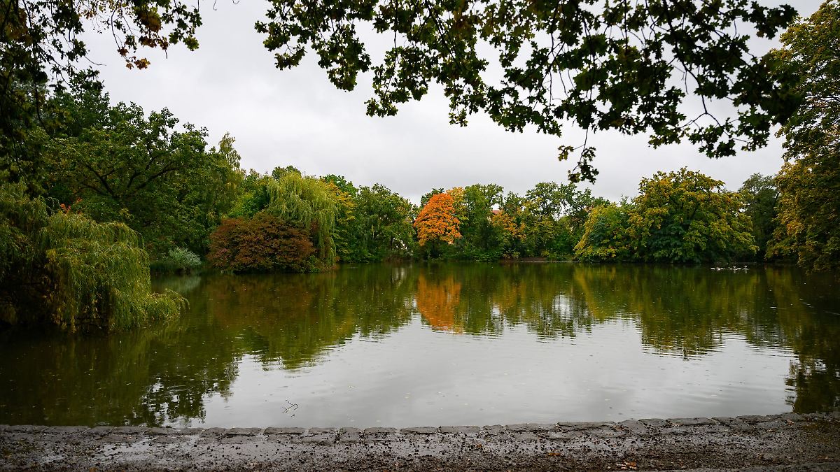 Graues und feuchtes Herbstwochenende in Sachsen