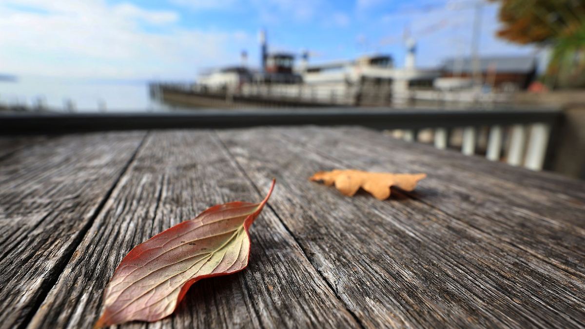 Wetter weiterhin trocken und mild - vereinzelt Frost