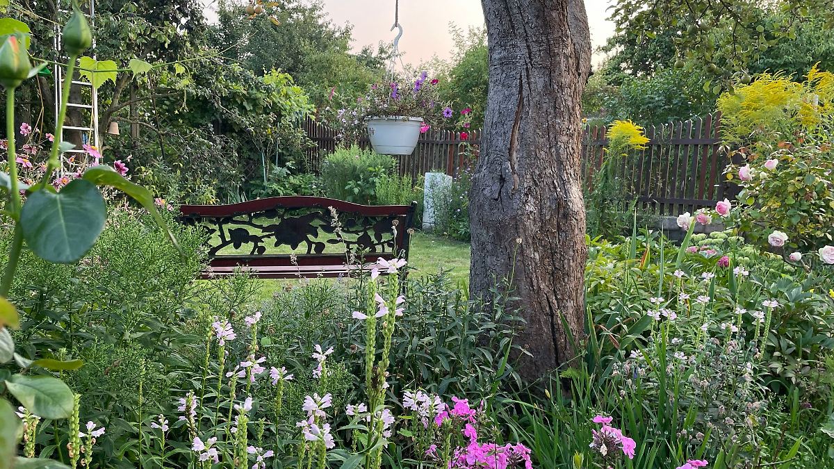 Kleingärtner in Prenzlauer Berg gewinnen Landeswettbewerb