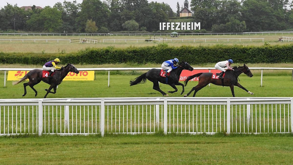 Jockey Seidl gewinnt mit Alsterperle Preis der Winterkönigin