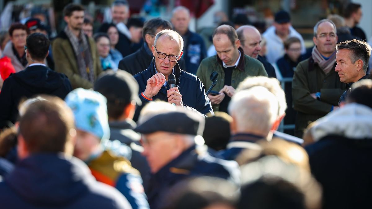 Merz: Keine Zusammenarbeit mit AfD mit mir als Parteichef
