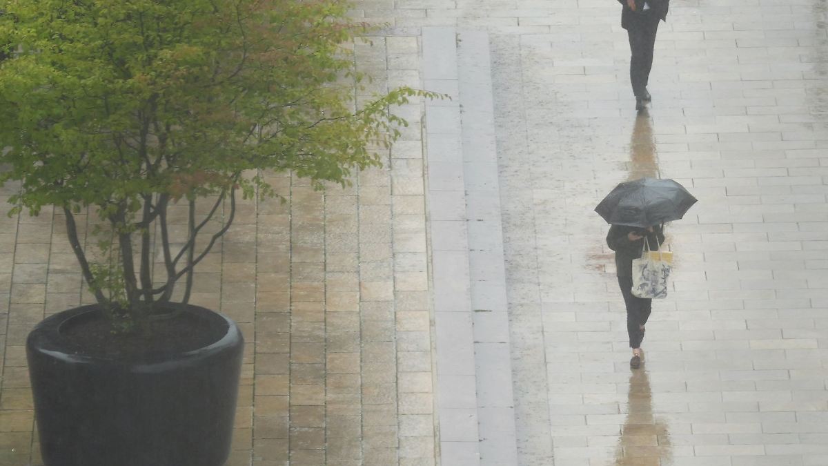 Gewitter, Regen und Sturmböen zum Wochenstart im Norden