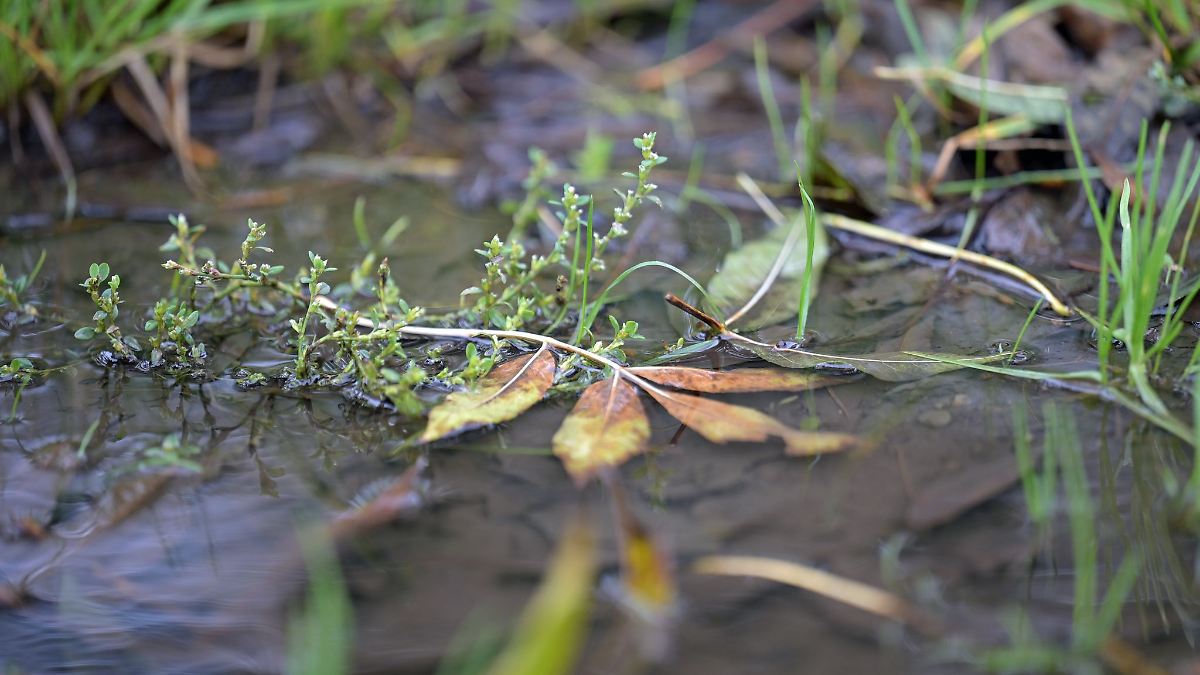 Herbstwetter mit Wolken und Regen - Schnee in den Hochlagen