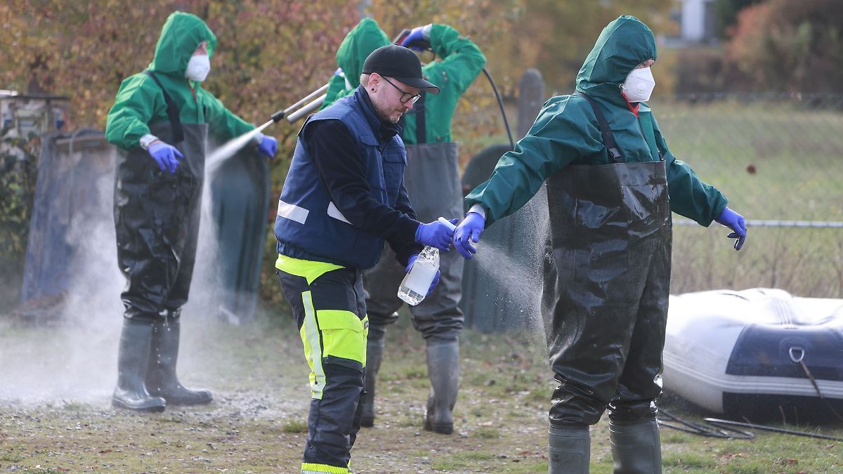 Behörden kämpfen gegen weitere Ausbreitung der Geflügelpest