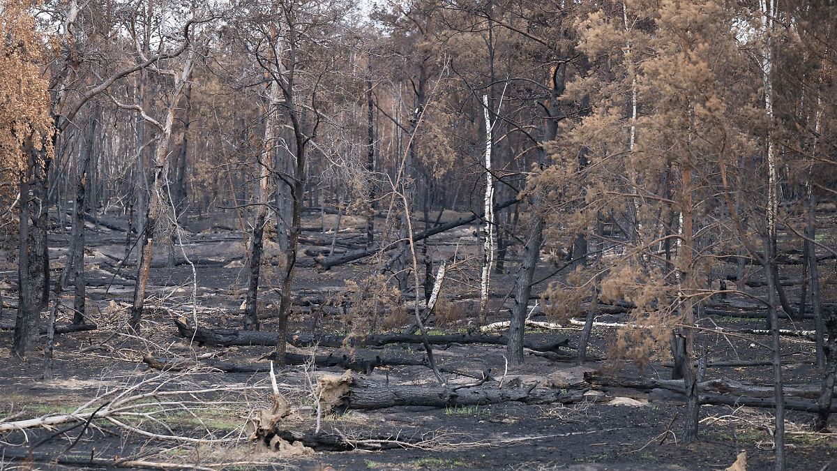 Sorge um munitionsbelastete Flächen in Sachsen