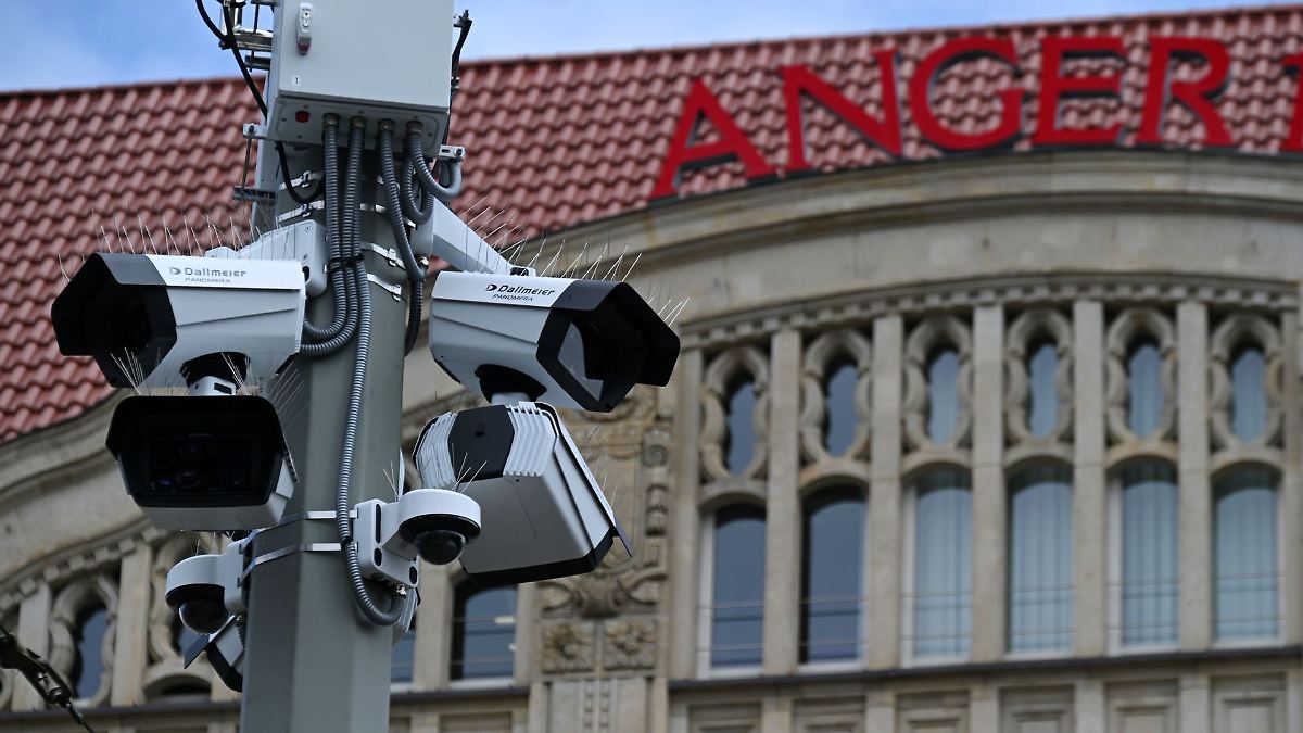 Politiker mit künstlichem Weihnachtsbaum attackiert