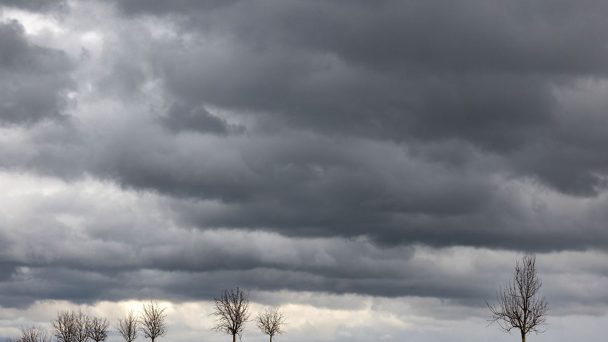 Wind bringt Bäume in Thüringen zu Fall