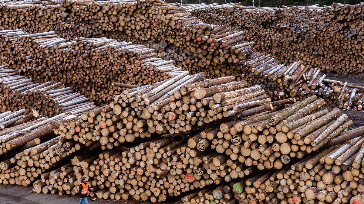 Nach Ziegler-Insolvenz weiter Ermittlungen gegen Manager