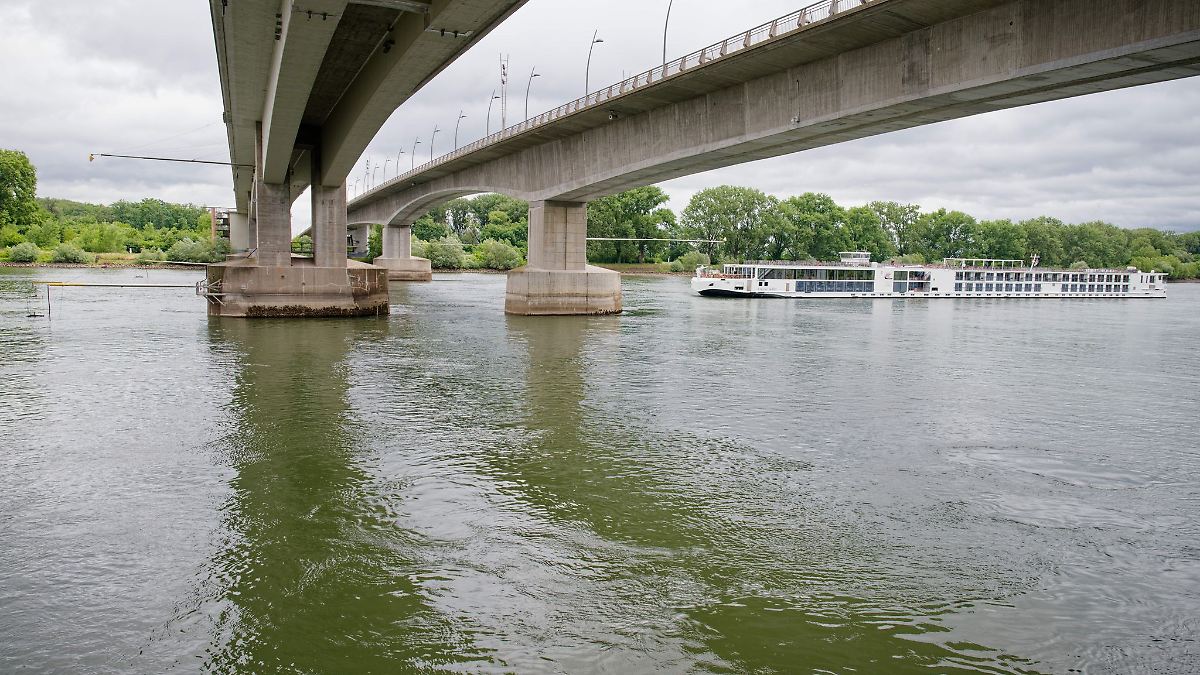 Pilotstudie untersucht Artenvielfalt im Rhein