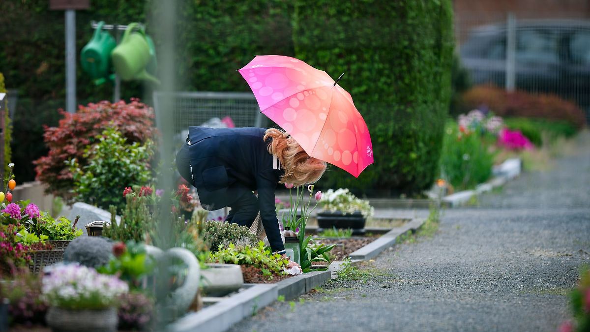 Regenschirm, Sonne-Comeback, Nebel: So wird das Wetter