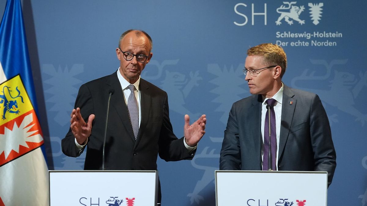 Merz an der Nordsee: vom Windrad bis zum Heuler