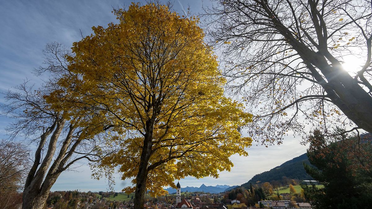 Bayerns Wetter: Wo Nebel bleibt und wo die Sonne scheint