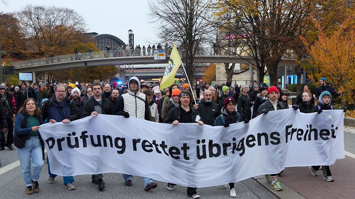 Tausende fordern Grundgesetz-TÜV für rechtsextreme Parteien