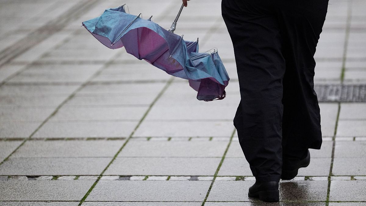 Schirm für den Spaziergang - Leichter Regen am Sonntag