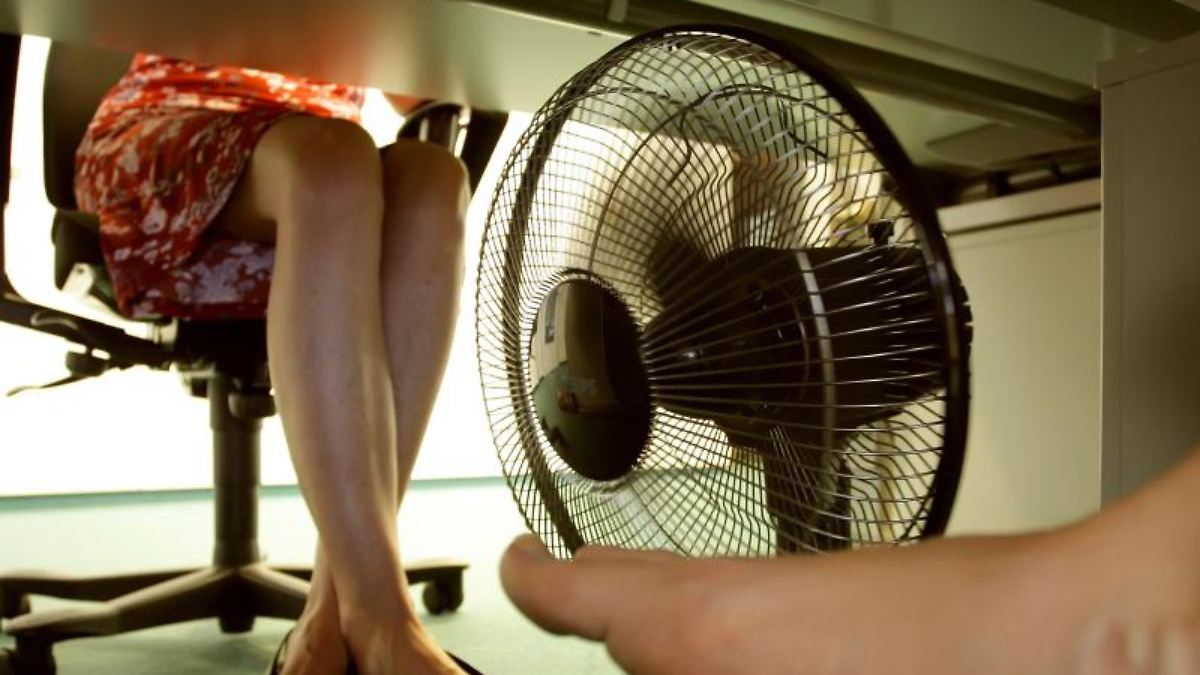 Gibt Es Hitzefrei Auf Der Arbeit Chef in der Pflicht: Gibt es Hitzefrei bei der Arbeit? - n-tv.de